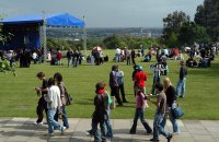 Ashford School performance