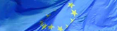 The UK's European university