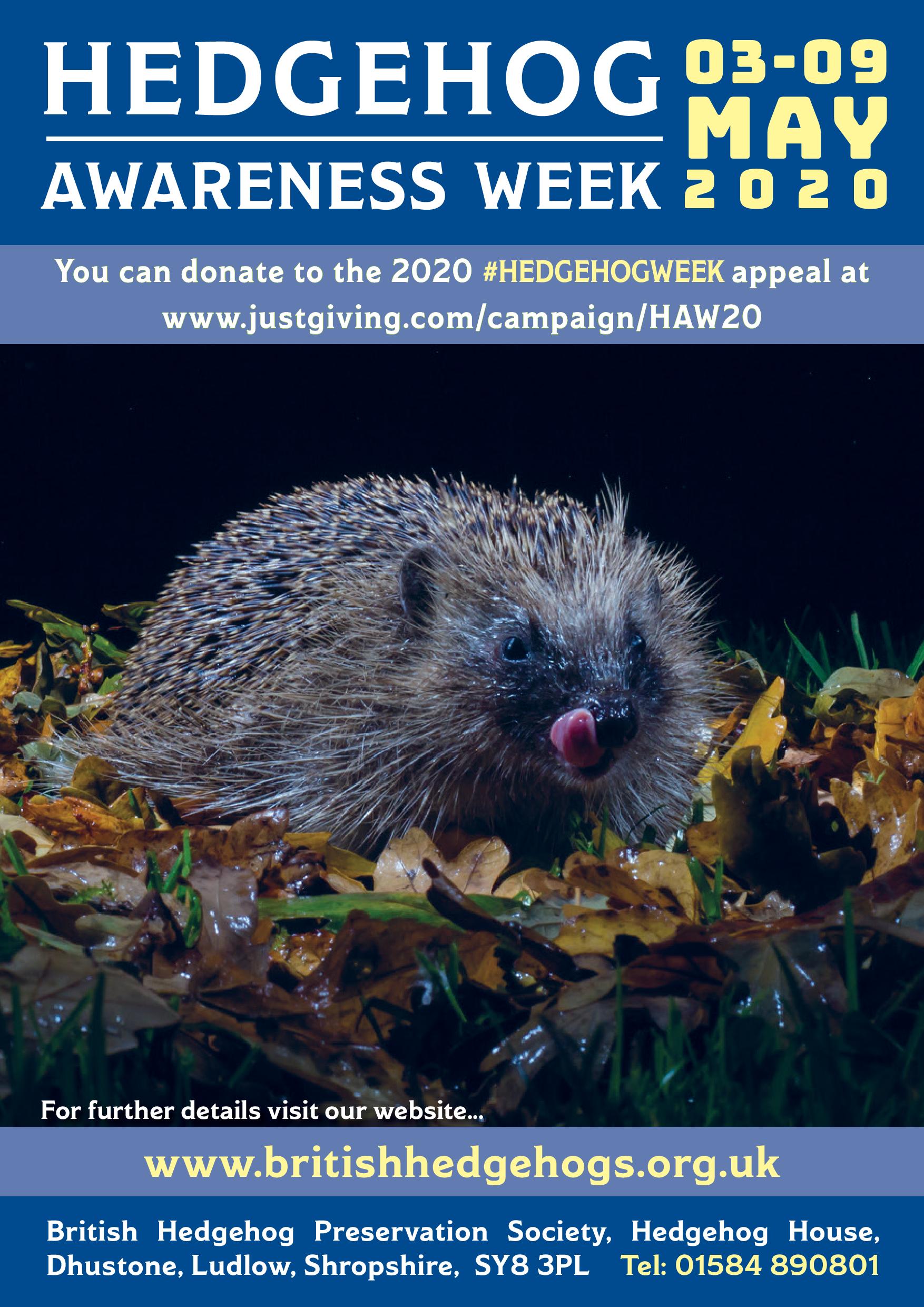 Hedgehog Awareness Week Fundraise Appeal