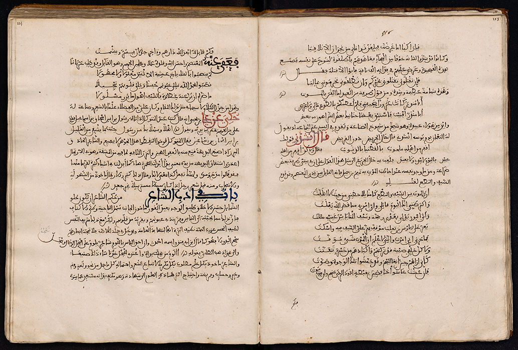 Al-Hasan ibn Ali ibn Rashiq al-Qayrawani, Kitab a ‘umda fi mahasin al-shi’r wa-adabihi. Copy by Abdallah ibn Umar ibn Uthman (978 AH/late 16th century)