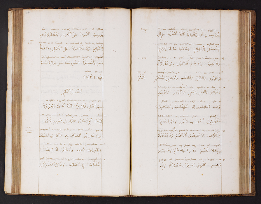 Gospels in Arabic