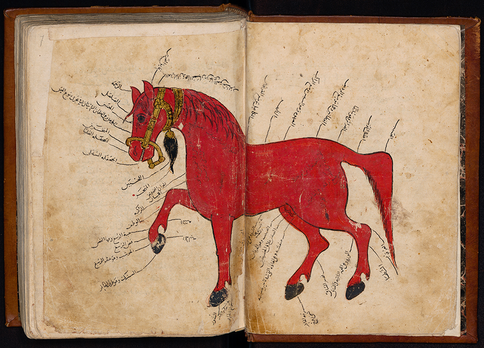 Muhammad ibn Ya’qub al-Khuttali (c. 865), Kitab al-Furusiyya wa-l-Baitara [Book of horseback riding and veterinary medicine]